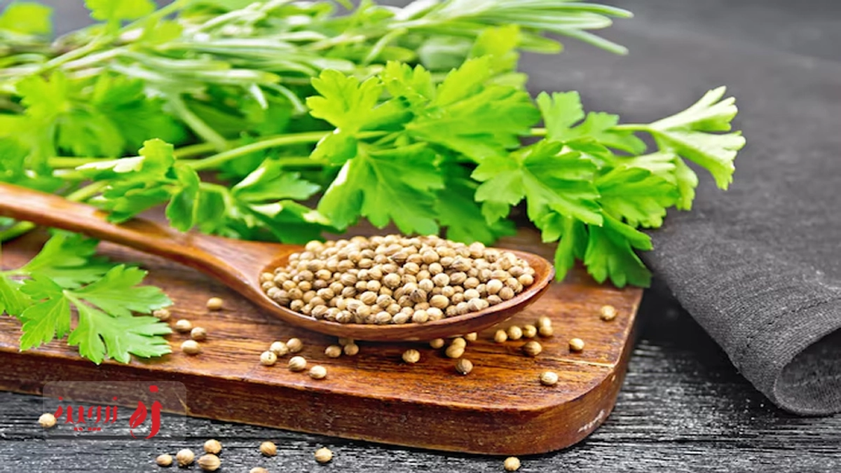 تأثیر تخم گشنیز بر کلسترول