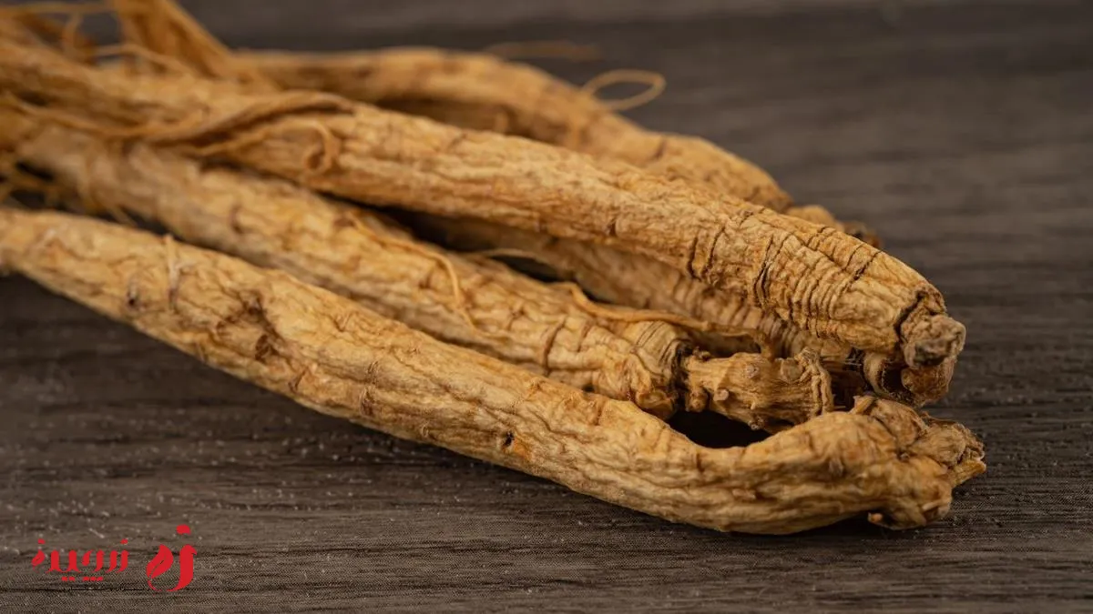 خواص جینسینگ برای بدن