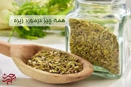 همه چیز درمورد زیره601