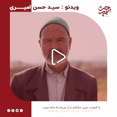 خرید زعفران از کشاورز | سید حسن امیری