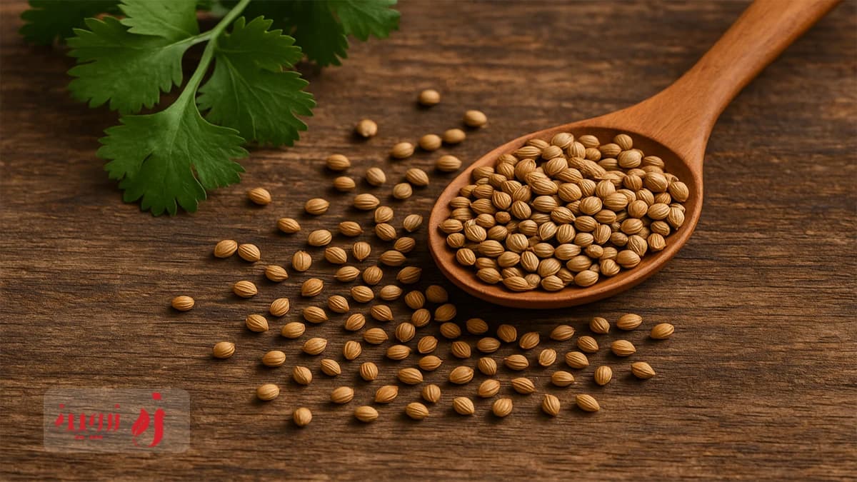 تخم گشنیز برای کلیه درد و ورم | درمان طبیعی و مؤثر1