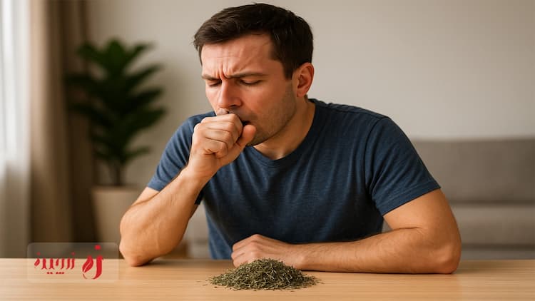 مراقبت از ریه‌ها در هوای آلوده؛ چرا آویشن پیشنهاد می‌شود؟