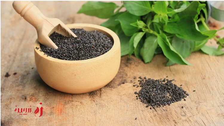 با خواص تخم ریحان آشنا شوید؛ راهی طبیعی برای بهبود سلامت عمومی