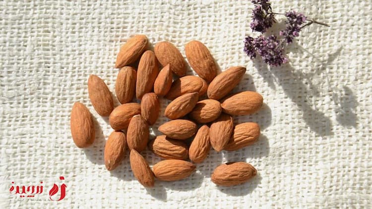 خواص بادام تلخ | بادام تلخ جه تفاوتی با بادام شیرین  دارد؟