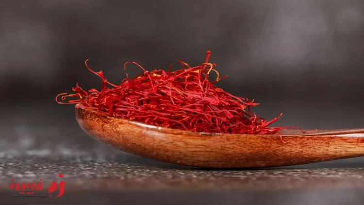 ادویه ارزشمند و مفید برای بیماری پارکینسون