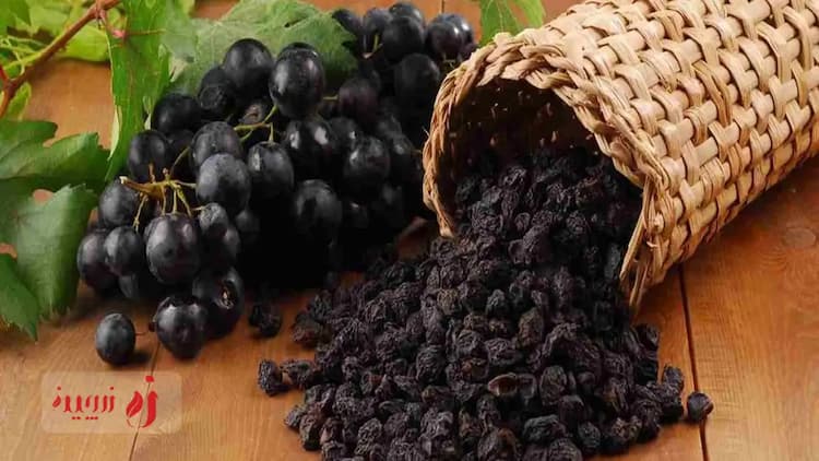  مویز برای تقویت حافظه: چرا این میوه خشک برای دانش‌آموزان و دانشجویان مفید است؟