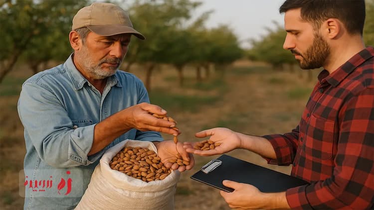 خرید مستقیم مغز بادام درختی از تولیدکننده | قیمت واقعی، تسویه فوری