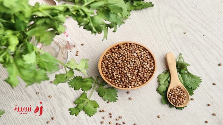 کاهش کلسترول بالا بدون دارو؛ تخم گشنیز را دست‌کم نگیرید