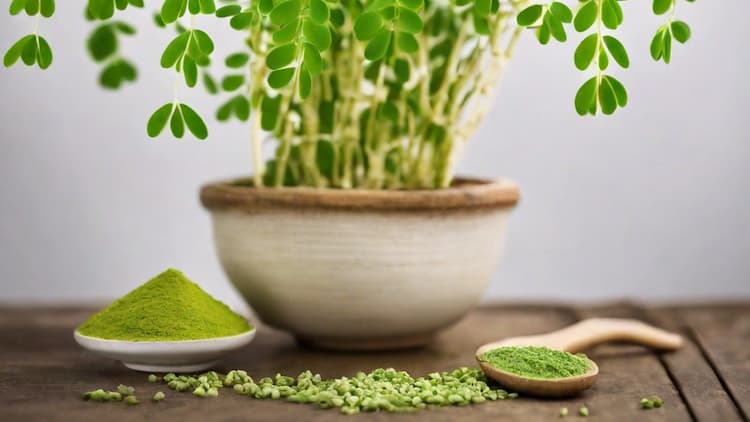 چطور مورینگا را برای لاغری مصرف کنیم؟ راهنمای جامع برای کاهش وزن