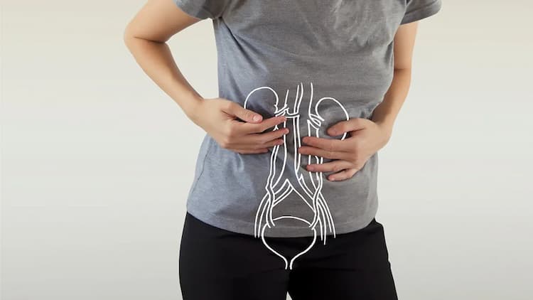 برای عفونت ادراری چی بخوریم؟ درمان خانگی و بدون درد