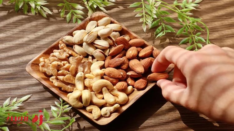 خواص آجیل برای حافظه | 6 آجیل + ارزش غذایی هر آجیل