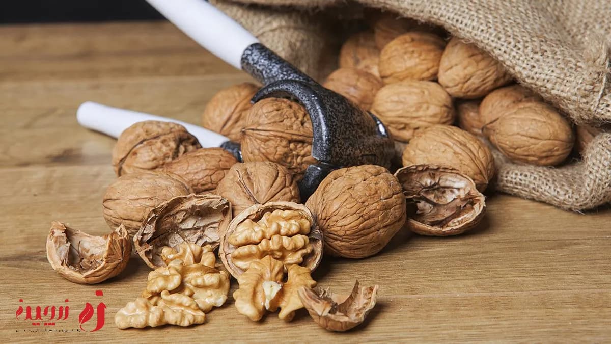 خواص گردو | فواید بی‌نظیر این مغز خوشمزه برای سلامتی1