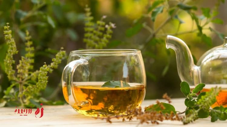 بهترین دمنوش ها برای ماه رمضان چیست؟ 7 دمنوش برای تأمین انرژی و کاهش عطش