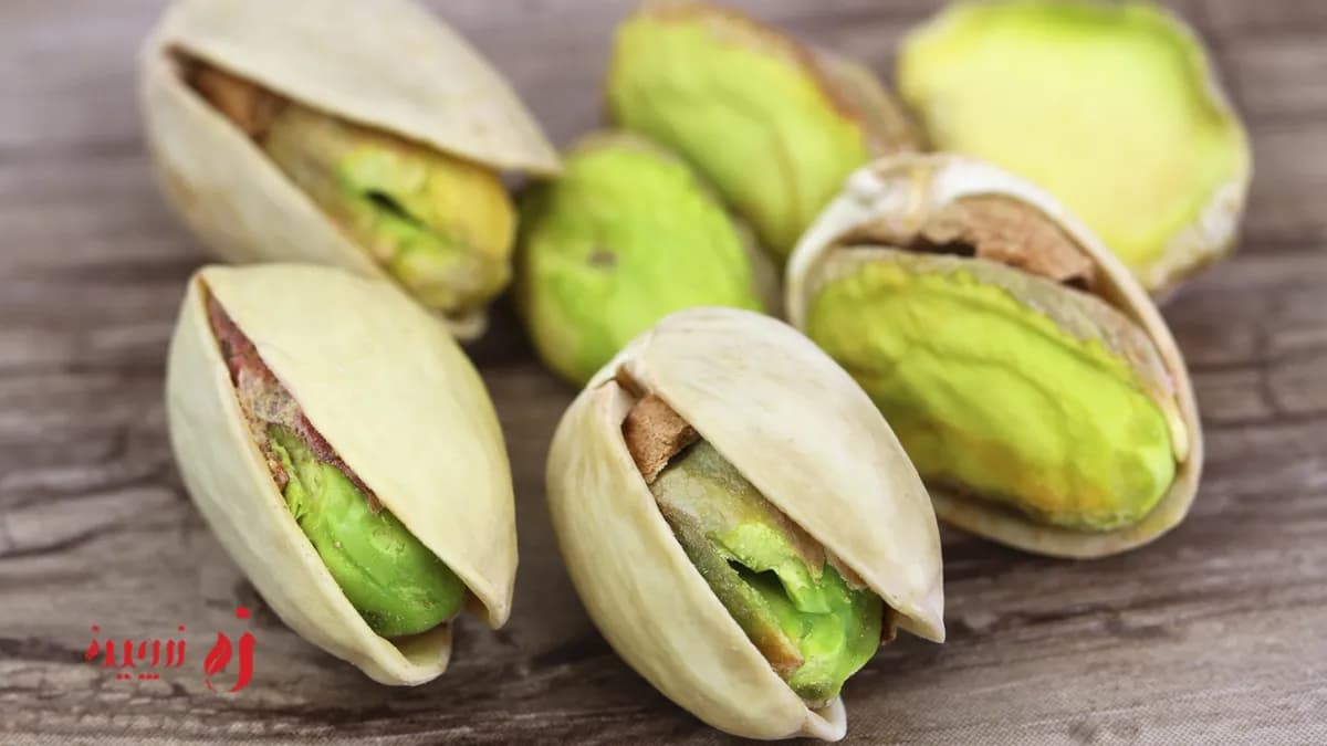 آشنایی با انواع پسته | بهترین پسته برای خرید1