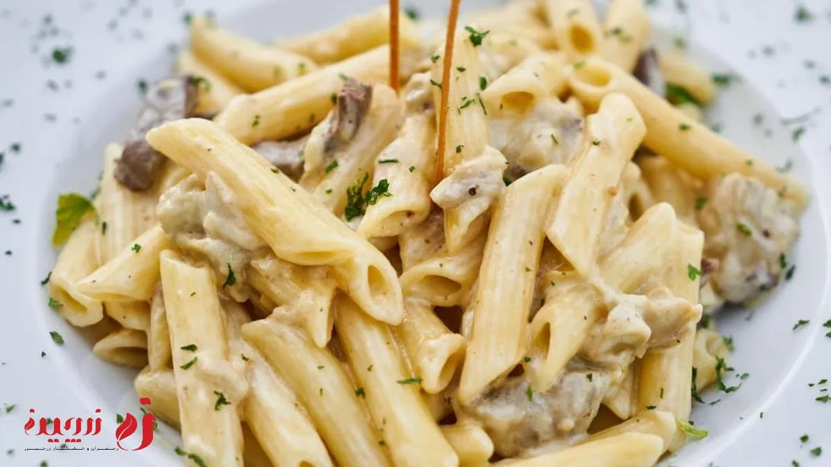 طرز تهیه پاستا خانگی | آموزش تهیه ۴ نوع پاستا1