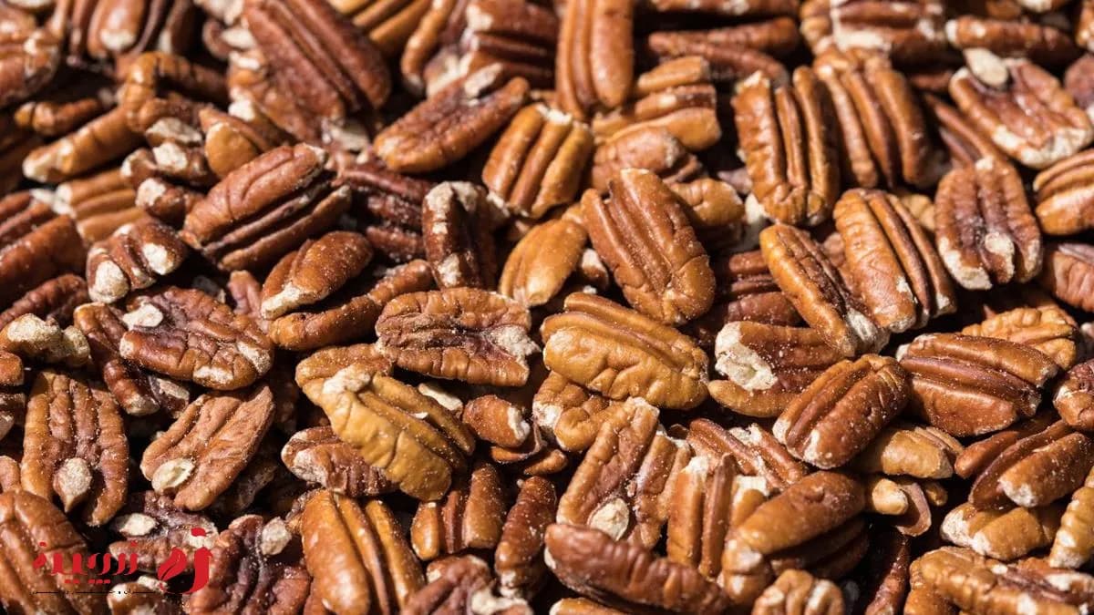 خواص گردو پکان چیست؟ و چه تفاوتی با گردو دارد؟1