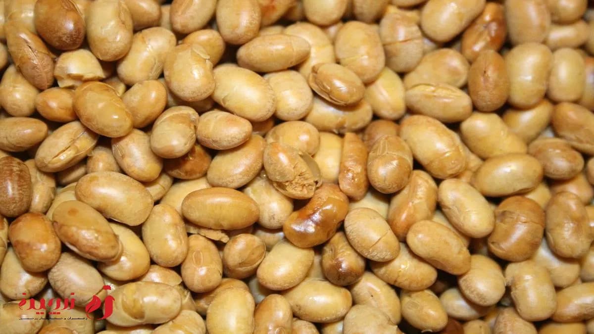 طرز تهیه آجیل سویا با طعم نمکی و شیرین1