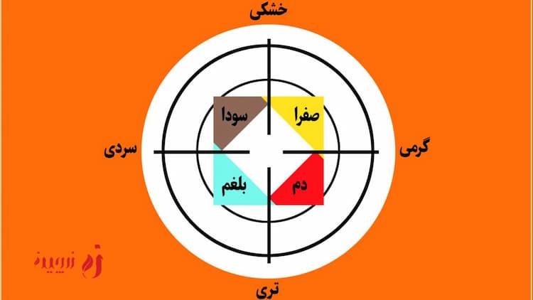 شناخت انواع مزاج و تأثیر آن ها بر سلامتی و خلق و خو