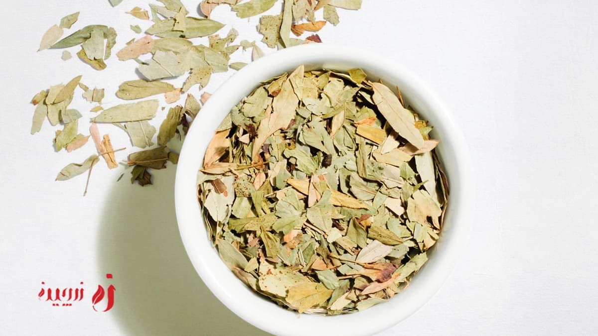 خواص برگ سنا و کاربردها و عوارض احتمالی1