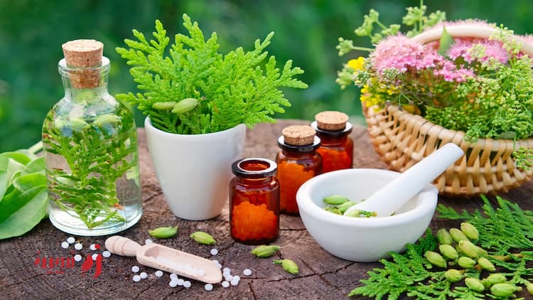 آشنایی با خواص و طبع گیاهان دارویی و کاربرد هر یک