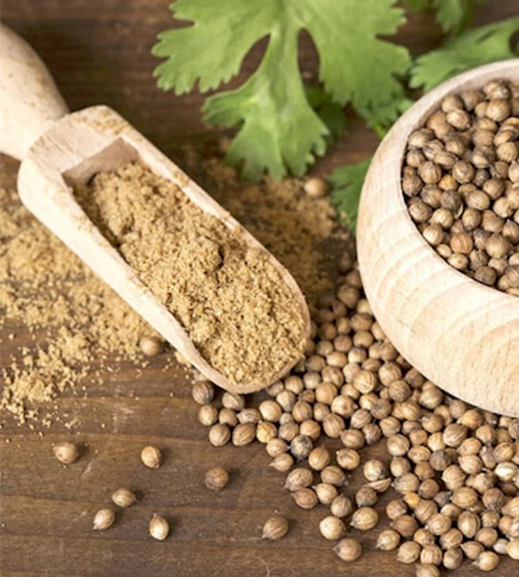 خرید پودر تخم گشنیز