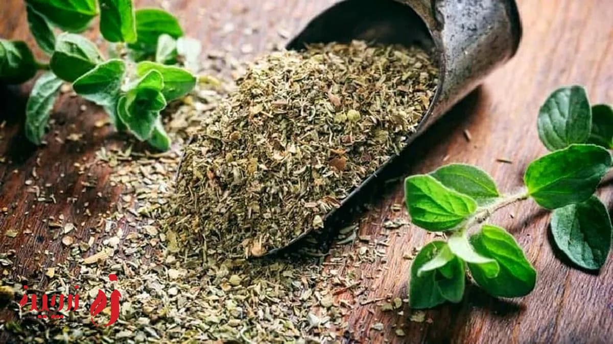 خواص آویشن برای مردان | فواید، دمنوش و نکات مهم1