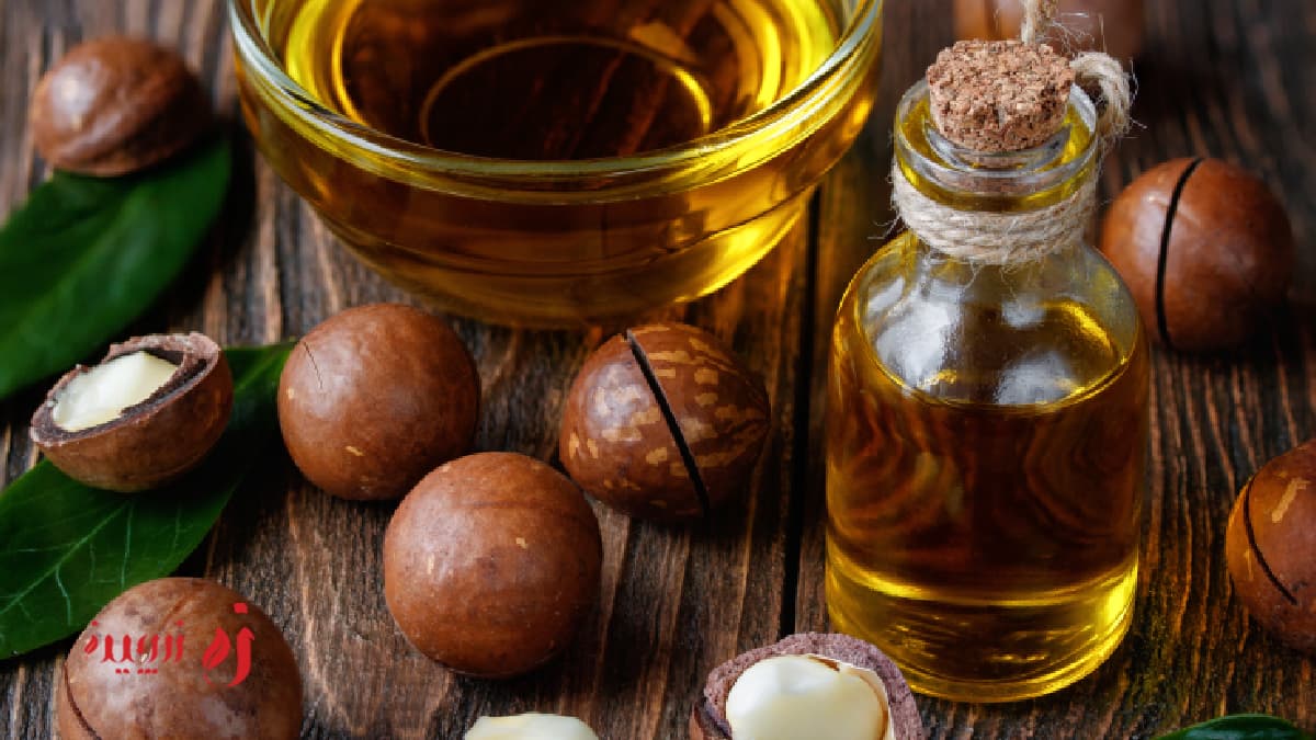 آموزش تهیه روغن ماکادمیا + نحوه مصرف ماکادمیا برای پوست و مو1