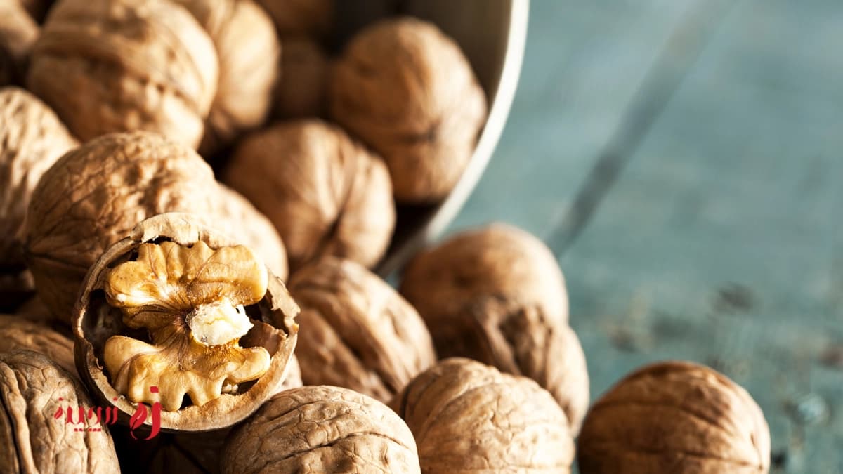 طبع گردو مناسب چه طبعی است؟ | جدول مصلح‌ها، خواص و مضرات گردو برای هر مزاج1
