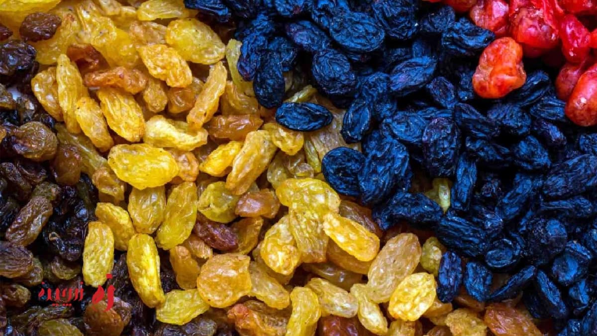 طبع کشمش در طب سنتی: خواص و کاربردهای آن1