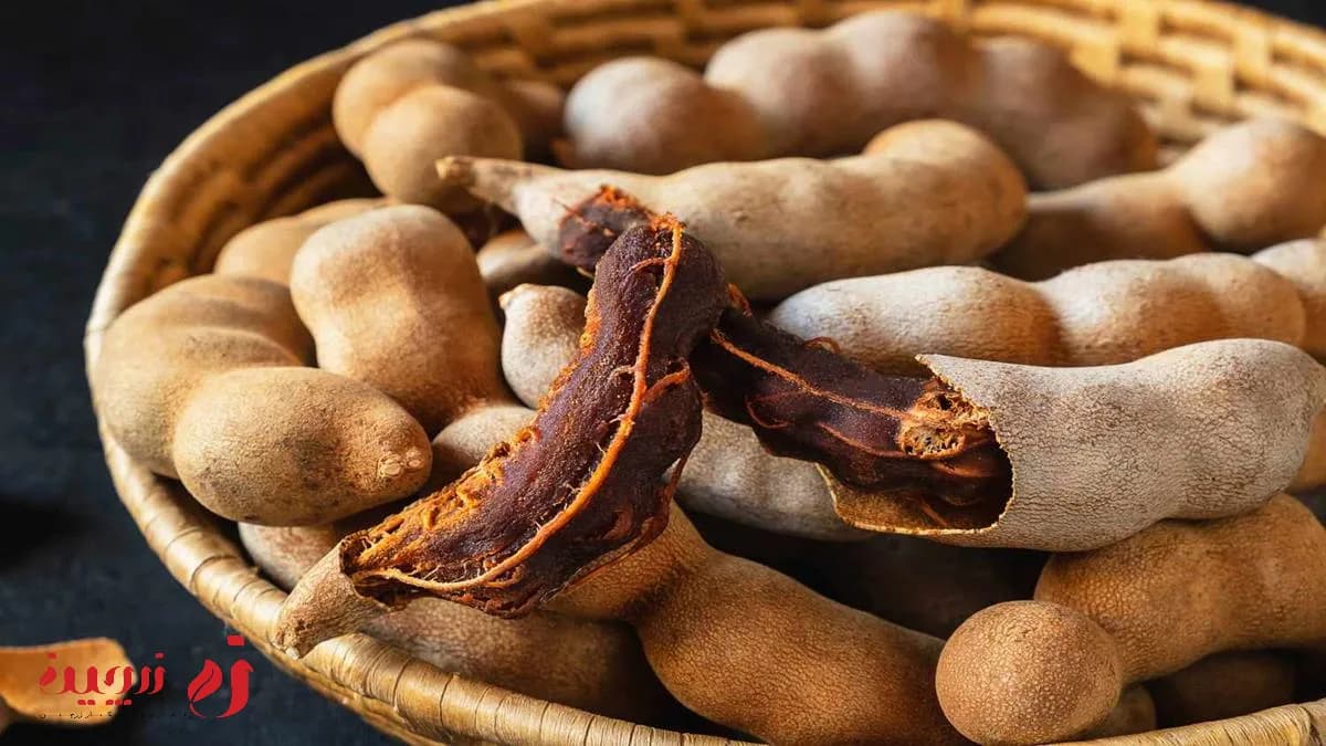 خواص تمر هندی | آیا این میوه تداخل دارویی دارد؟1