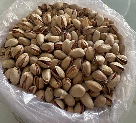 خرید عمده پسته