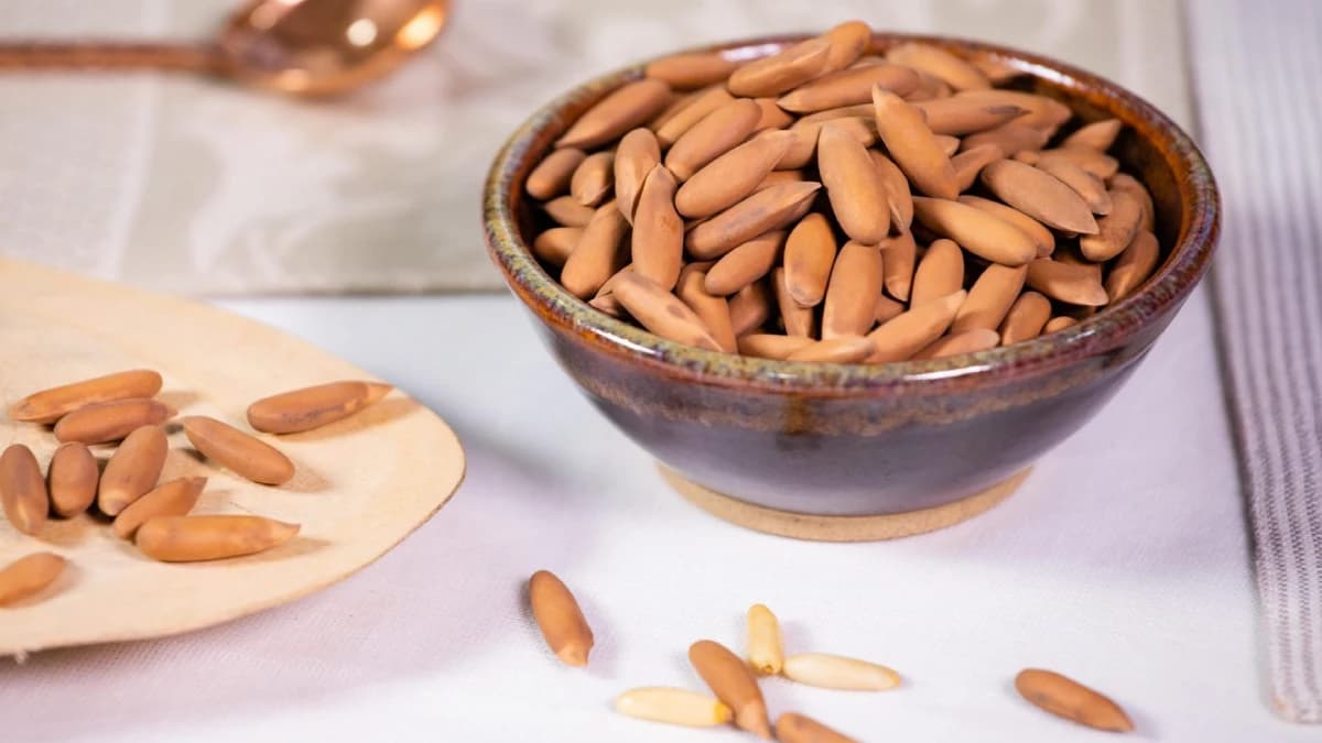 بررسی قیمت چلغوز در مشهد، چرا آجیل چلغوز قیمت بالایی دارد؟