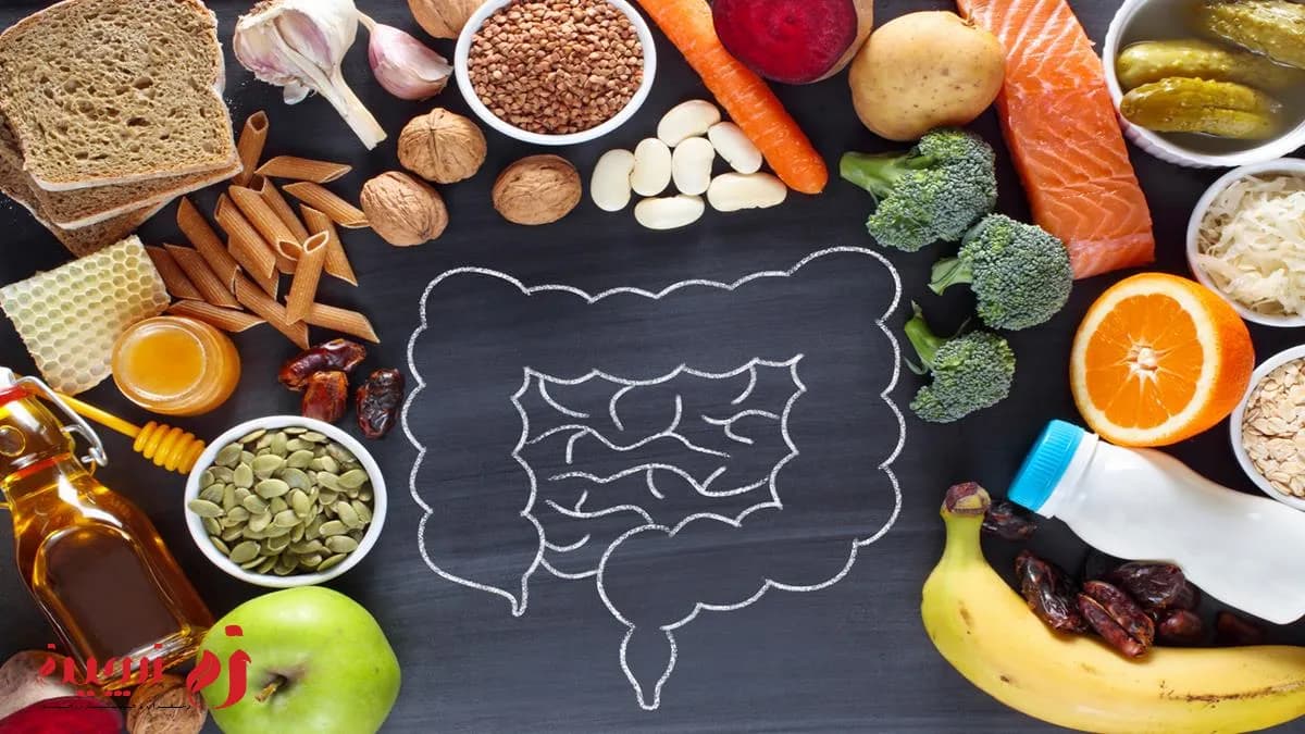 فیبر چیست؟ | معرفی بهترین مواد غذایی حاوی فیبر