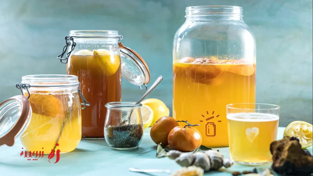 کمبوجا یا نوشیدنی پروبیوتیک خانگی، دوست دستگاه گوارش
