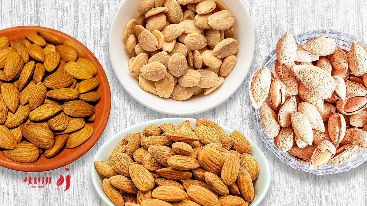 آشنایی با انواع بادام در ایران؛ از منقا تا محب و سنگی