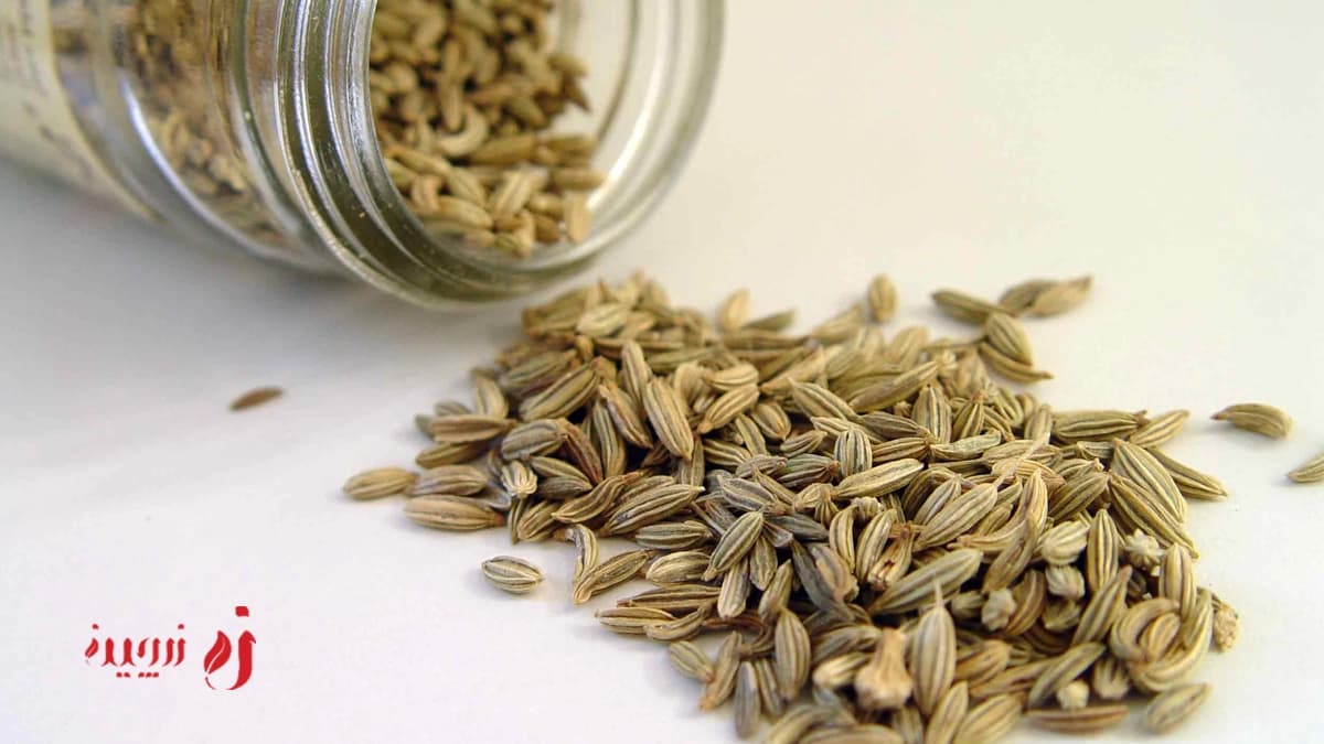 خواص رازیانه چیست؟ چه فوایدی دارد و چرا باید از آن استفاده کنیم؟