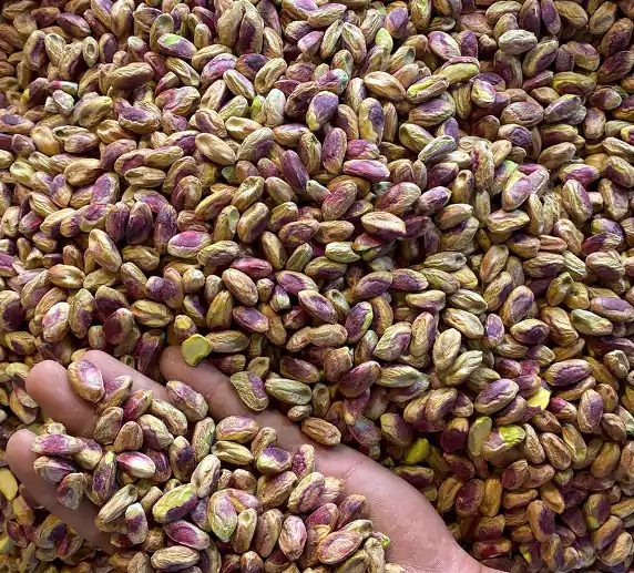 خرید عمده مغز پسته
