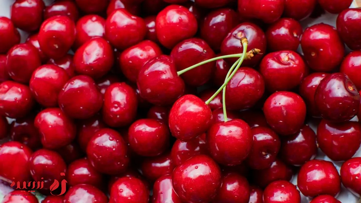 خواص گیلاس | از بهبود کیفیت خواب تا سلامت چشم