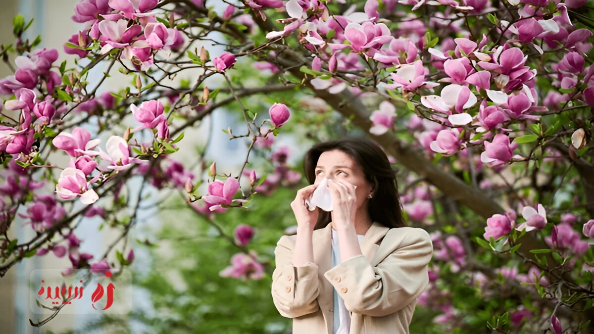 چگونه عناب به بهبود علائم آلرژیهای فصلی کمک میکند؟