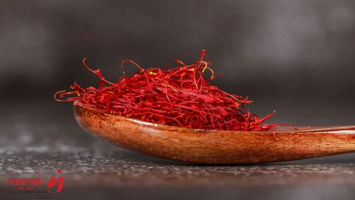 ادویه ارزشمند و مفید برای بیماری پارکینسون