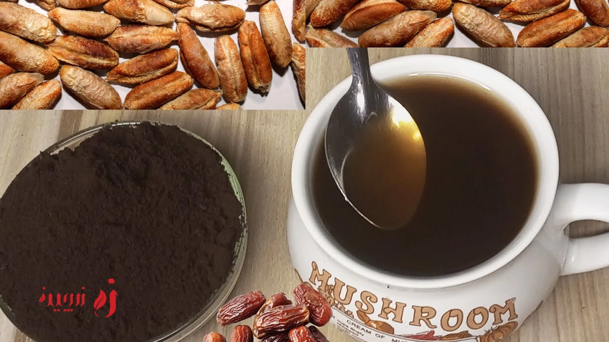 قهوه هسته خرما؛ جایگزین طبیعی و بدون کافئین برای اسپرسو