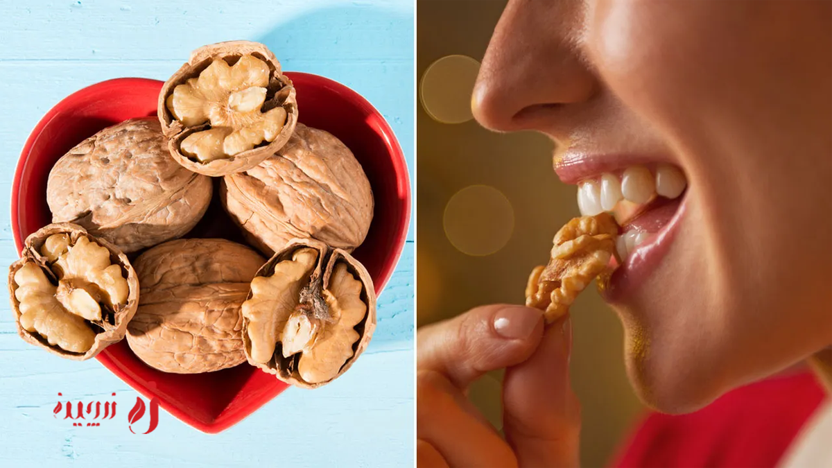 روزانه چند عدد گردو بخوریم؟ حفظ سلامت و انرژی روزانه