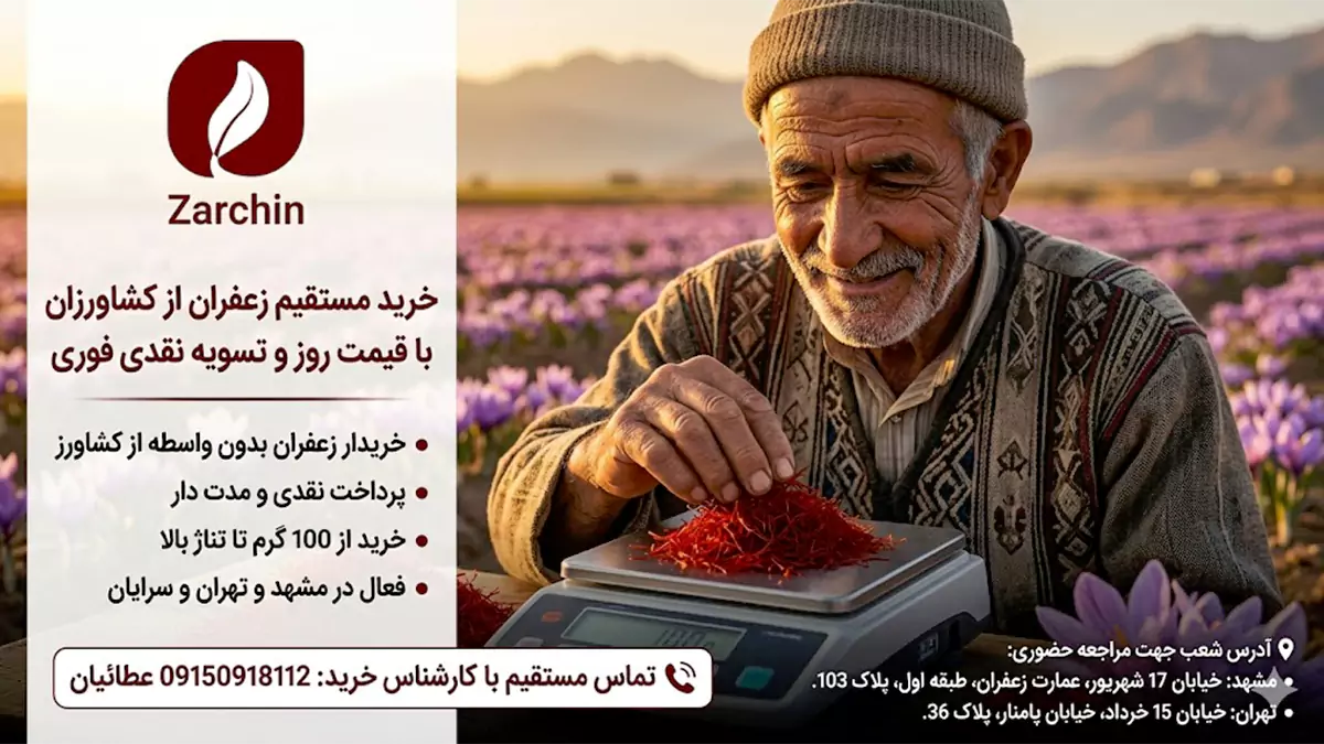 خریدار زعفران از کشاورز | خریدار عمده و کیلویی زعفران در سال 1405
