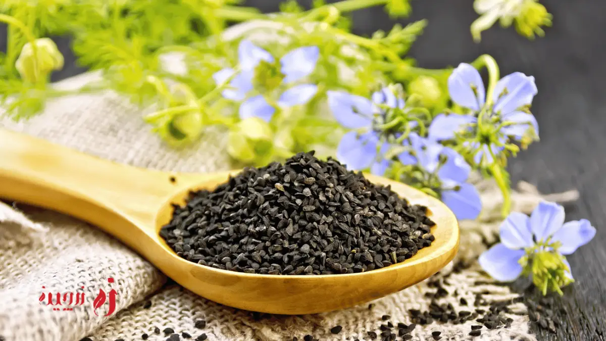 روش استفاده از زیره سیاه برای کاهش چربی خون، نسخه هایی از طب سنتی