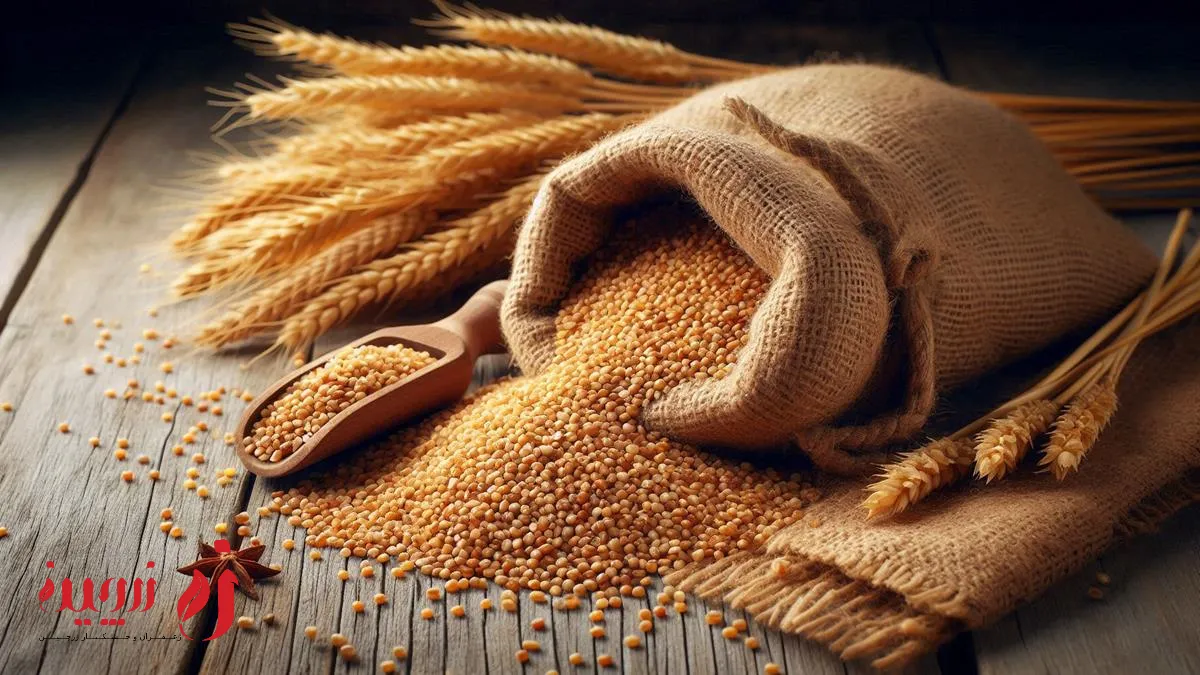 بلغور چیست؟ راهنمای کامل درباره خواص و کاربردهای آن
