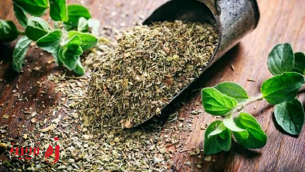 خواص آویشن برای مردان | راز سلامتی جنسی مردان