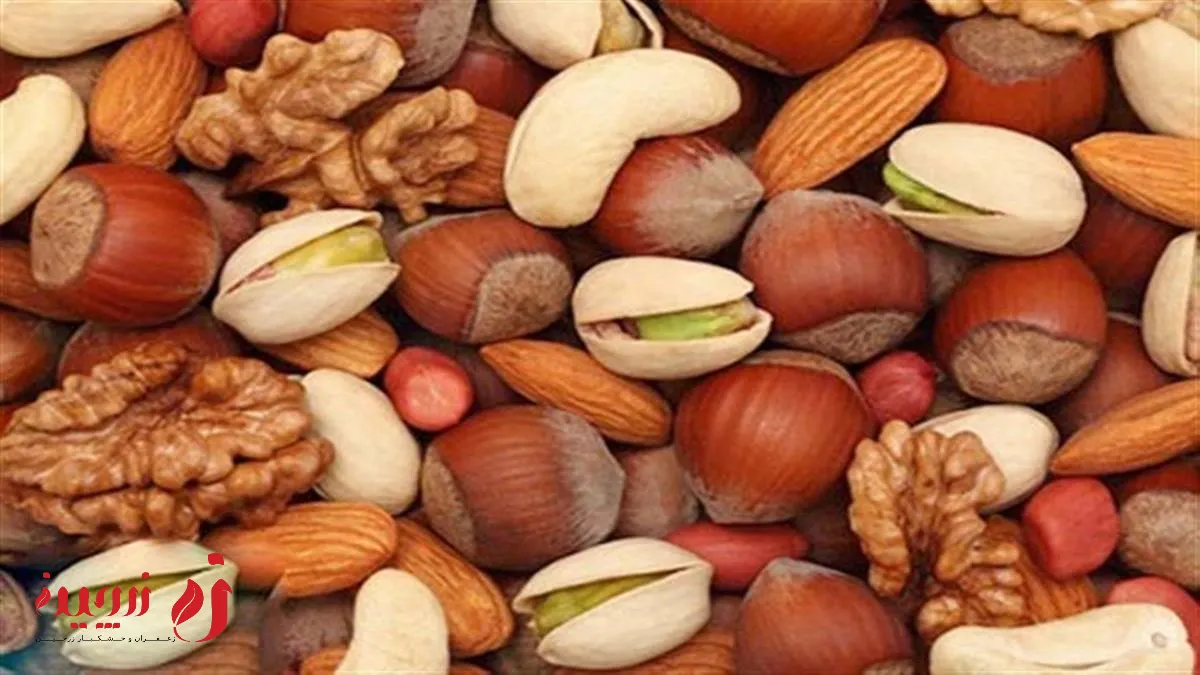 خواص چهار مغز هر آنچه که باید بدانید!