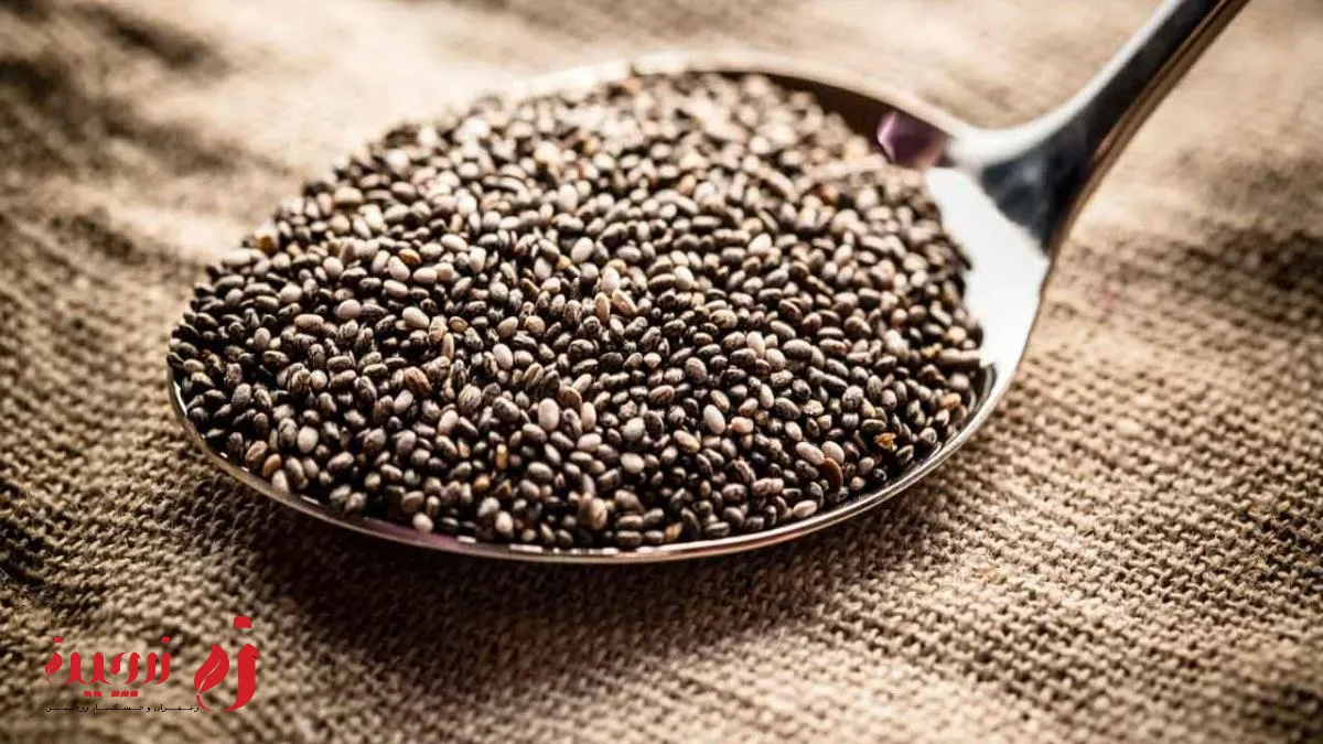 خواص دانه چیا | از سلامت قلب تا کاهش فشار خون