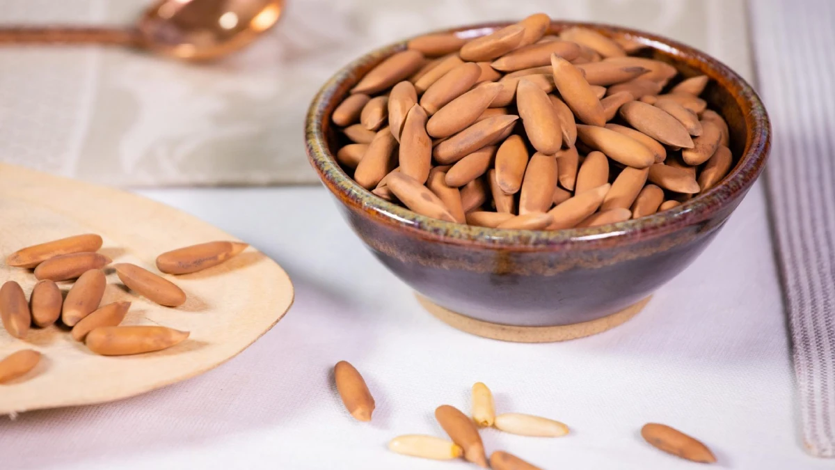 بررسی قیمت چلغوز در مشهد، چرا آجیل چلغوز قیمت بالایی دارد؟