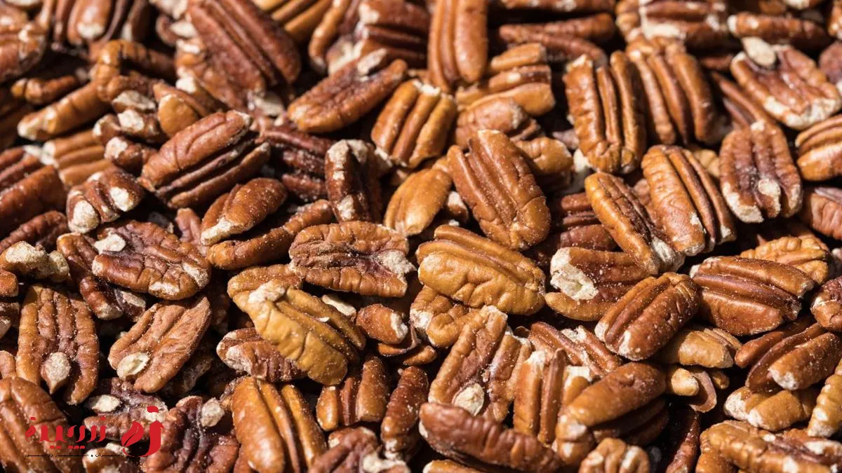 خواص گردو پکان چیست؟ | عوارض ان و مقدار مصرف روزانه
